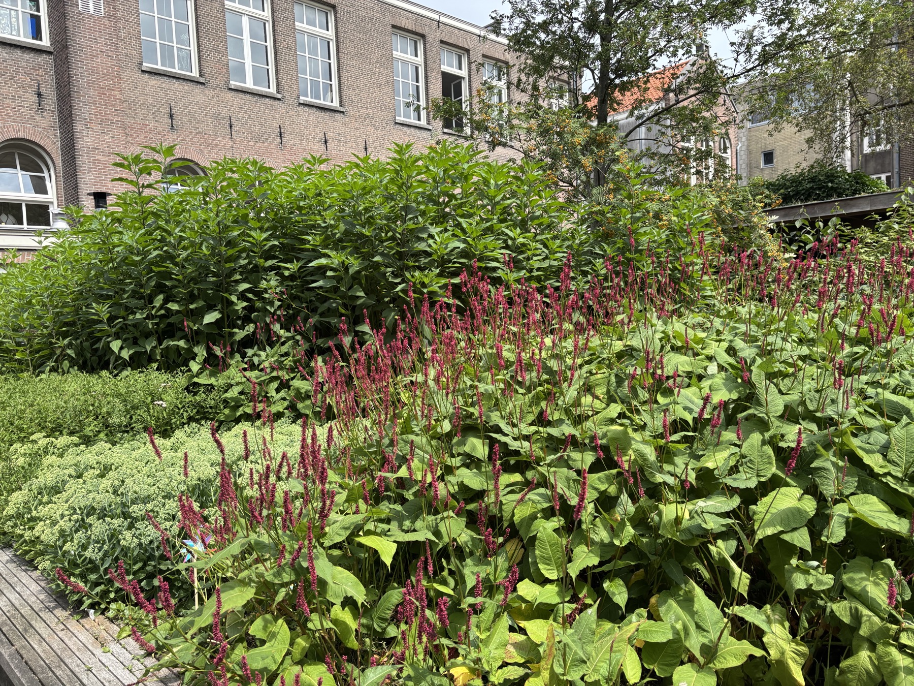 Groene tuin met bloemen die de rustige sfeer van de praktijk ondersteunt